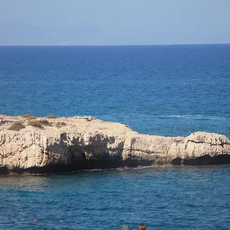 Malamar *